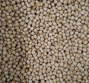 SOJA EM GRAO 100G