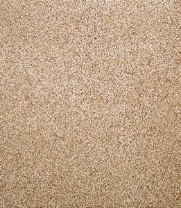PSYLLIUM HUSK 100G