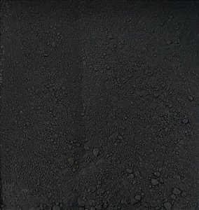 CARVAO VEG ATIVADO 100G