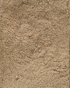 COENTRO EM PO 100G