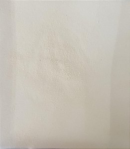COLAGENO HIDROLISADO 100G