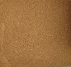 CANELA EM PÓ PURA 100G