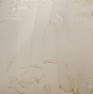 PROTEINA ISOLADA DE SOJA 90% 100G