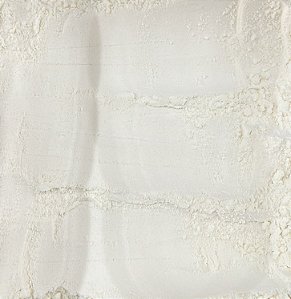 LEITE DE COCO EM PÓ 100G