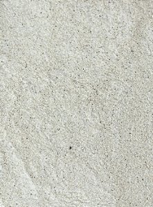 FARINHA DE TRIGO MOURISCO / SARRACENO 100G