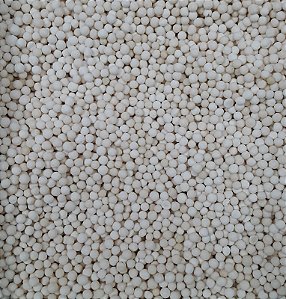 SAGU 100G