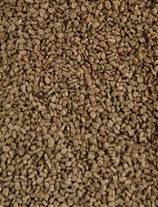 FENO GREGO GRAOS 100G