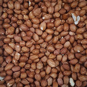 AMENDOIM CRU C/ PELE 100G