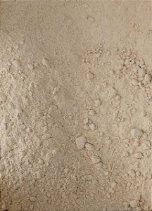 CEBOLA EM PO 100G