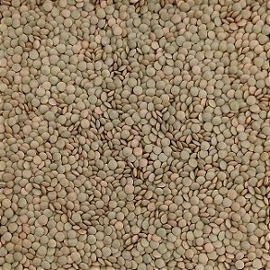 LENTILHA 100G