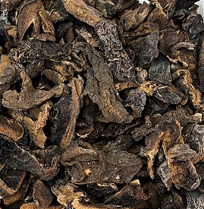 FUNGHI SECO 100G