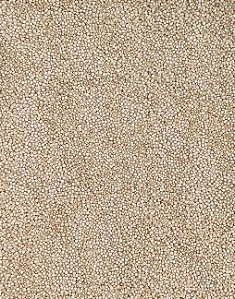 QUINOA EM GRÃOS 100G