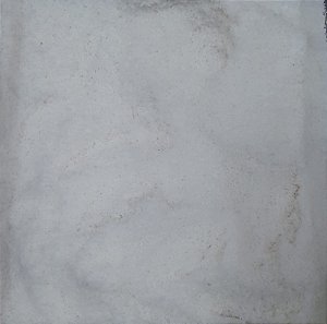COCO RALADO S/AÇUCAR 100G