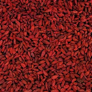GOJI BERRY DESIDRATADO 100G