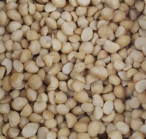 MACADAMIA 100G