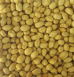 AMENDOIM NATURAL 100G