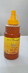 MEL BISNAGA 500G - SILVESTRE - APIARIO MENEGASSO