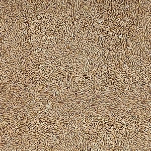 ALPISTE CANADENSE 100G