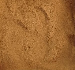 CANELA EM PÓ PREMIUM 100G