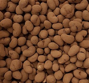 CASTANHA DE CAJU C/ CHOC. MEIO AMARGO 100G