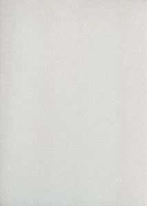 AJINOMOTO / GLUTAMATO 100G