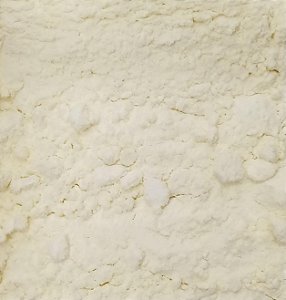 LEITE EM PO INT. ZERO LACTOSE - 100G