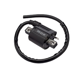 Bobina Ignicao Condor 12v Biz 100 /05 [F016]