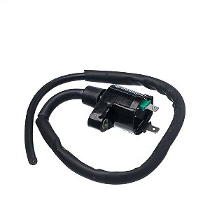 Bobina Ignicao Condor 12v Cg 125 00 A 02 [F016]