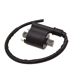 Bobina Ignicao Condor 12v Cg 125 2009/ [F016]