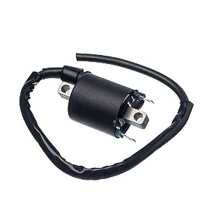 Bobina Ignicao Condor 12v Cg 150 2009/ [F016]