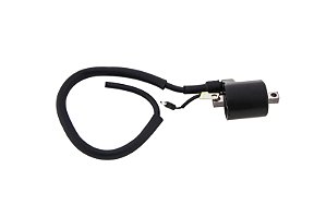 Bobina Ignicao Condor 12v Pop 100 [F016]