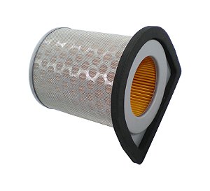 Elemento Filtro De Ar Eksim Cbx 250 [F016]