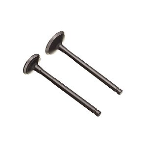 Valvula Adm/esc. (par) Ww3 Pop 110 I [F016]