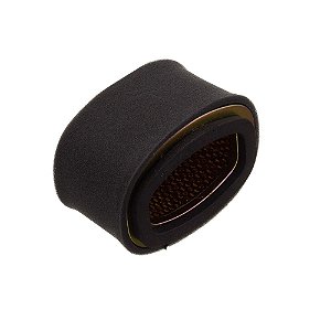 Elemento Filtro De Ar Eksim Burgman 125 I 2011/ [F016]