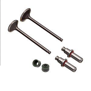 Kit Valvula Ww3 (6pcs) Cbx 200 [F016]