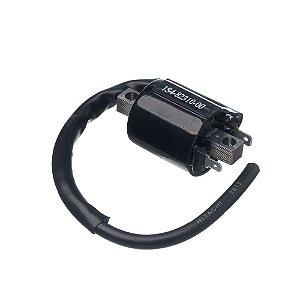 Bobina Ignicao Condor 12v Fazer 250 [F016]