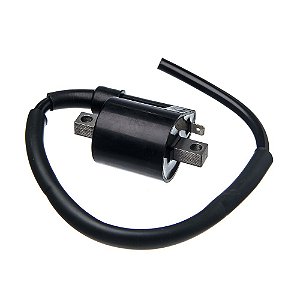 Bobina Ignicao Condor 12v Ybr 125 [F016]