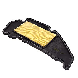Elemento Filtro De Ar Fram Burgman 125 An /10 (ca12190) [F016]
