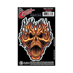 Adesivo Guitarra Flame Whip Skull Tattoo D Addario GT77013 [F035]