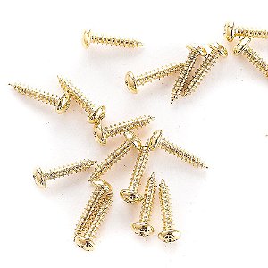 Parafuso Tarraxas WR2.1.0x10.0 Dourado (24 Peças) Spirit [F035]