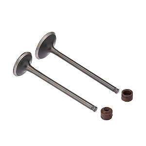 Valvula E Retentor Kit (4pcs) Ww3 Cg 160 16/ Ret. Marrom [F016]