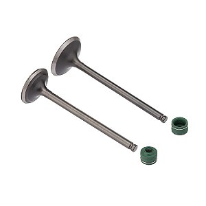 Valvula E Retentor Kit (4pcs) Ww3 Cg 150 04/ -bros 150 06/15 [F016]
