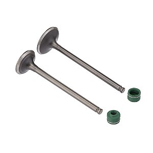 Valvula E Retentor Kit (4pcs) Ww3 Cg 125 09/18 [F016]