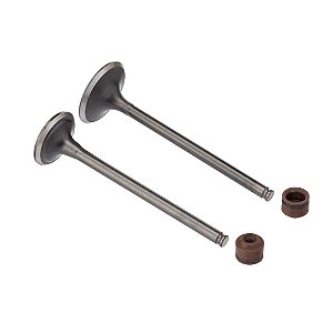 Valvula E Retentor Kit (4pcs) Ww3 Cb 300r Ret. Marrom [F016]