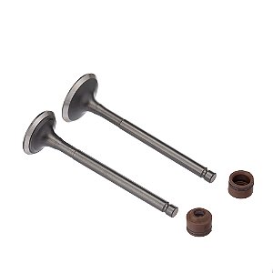 Valvula E Retentor Kit (4pcs) Ww3 Biz 125 05/ Ret. Marrom [F016]