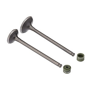 Valvula E Retentor Kit (4pcs) Ww3 Cg 125 92/01 [F016]