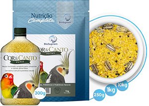 Cor & Canto Calopsita