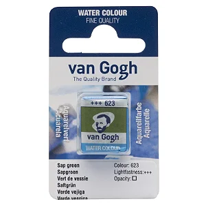 Aquarela Van Gogh Pastilha 623 Sap Green
