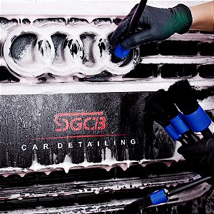 Kit Pincéis Interno para Detalhamento Automotivo - SGCB
