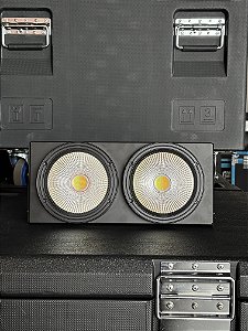 Mini Brut indoor 2x100W